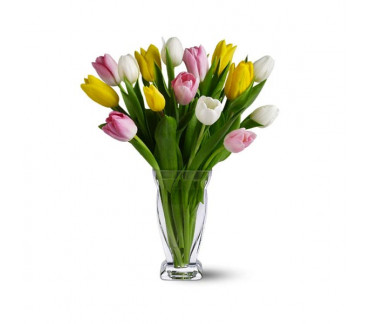 Quinze tulipes mélangées